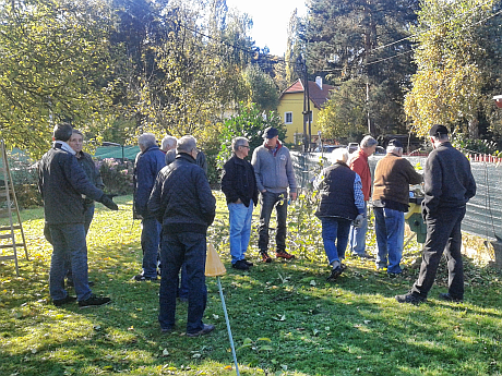 Honig im Frchtepunsch