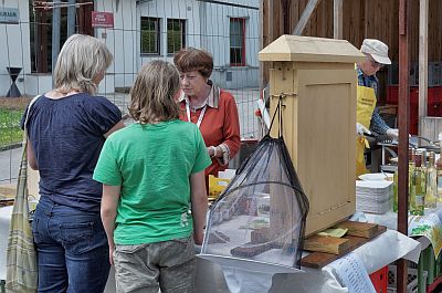 Tag des Bienenstocks 1