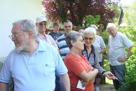 Honig im Frchtepunsch