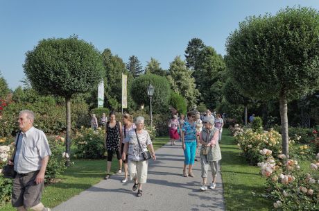 Rosengarten in Pitten