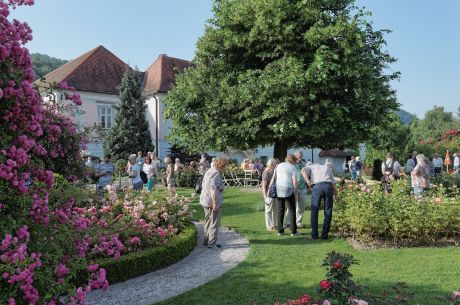 Rosengarten in Pitten