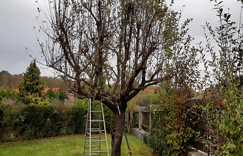 Bauschnittkuers 2018 Bild02