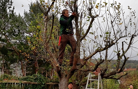 Bauschnittkuers 2018 Bild07