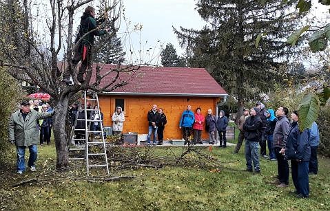 Bauschnittkuers 2018 Bild08