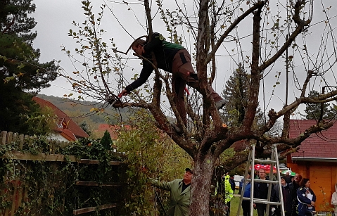 Bauschnittkuers 2018 Bild09