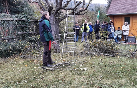 Bauschnittkuers 2018 Bild10