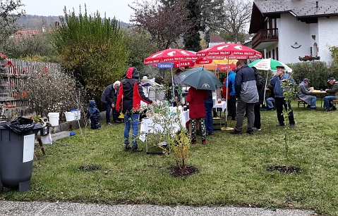 Bauschnittkuers 2018 Bild12