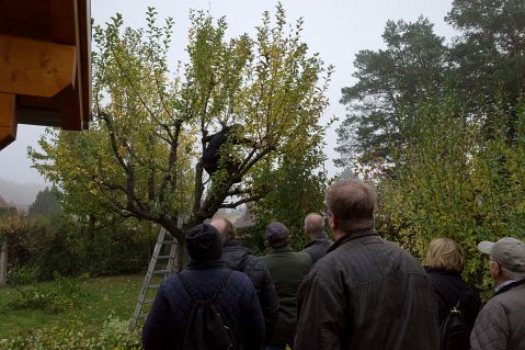 Bauschnittkuers 2019 Bild07