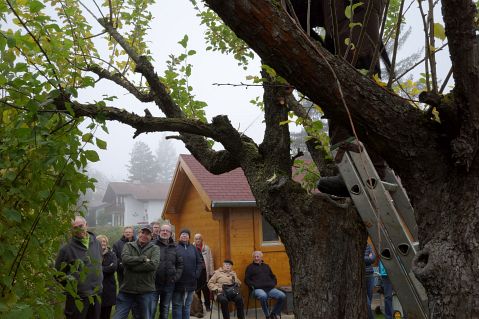 Bauschnittkuers 2019 Bild08