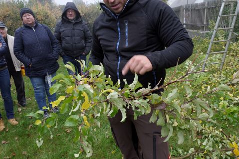Bauschnittkuers 2019 Bild09