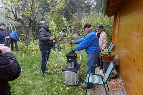 Bauschnittkuers 2019 Bild10