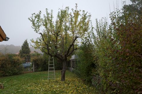 Bauschnittkuers 2019 Bild13