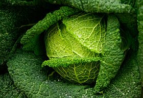 Kohl