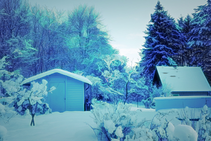 Winter-Bild